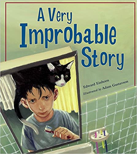 A Very Improbable Story Book Cover