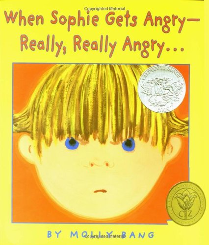 When Sophie Gets Angry—Really, Really Angry book cover