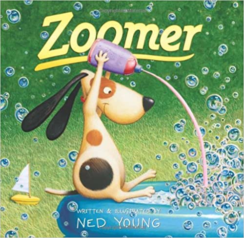 Zoomer book cover