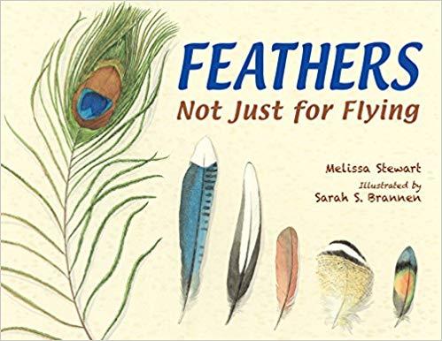 Feathers: Not Just for Flying book cover